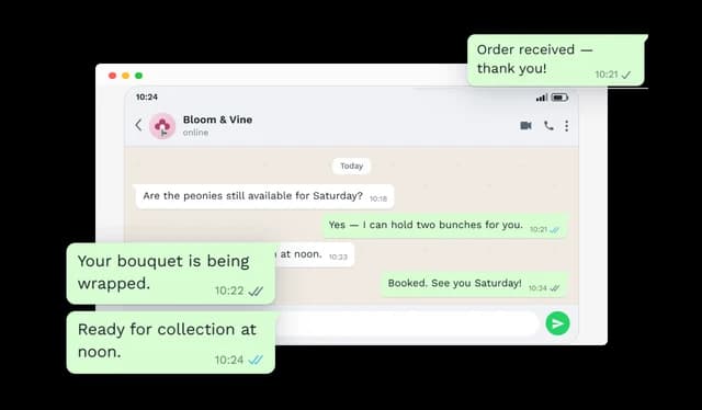 WhatsApp Conversation - Message Details and Delivery Status