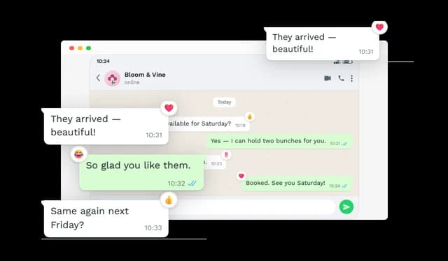 WhatsApp Conversation - Message Reactions