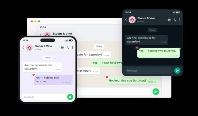 WhatsApp Conversation - Custom Chat Appearance