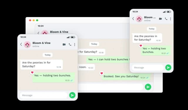 WhatsApp Conversation - Responsive Design