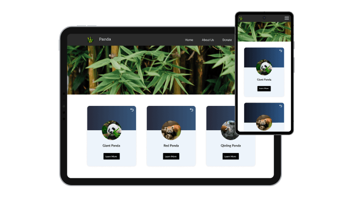 3D Cards - Fully Responsive Design for your Contao website