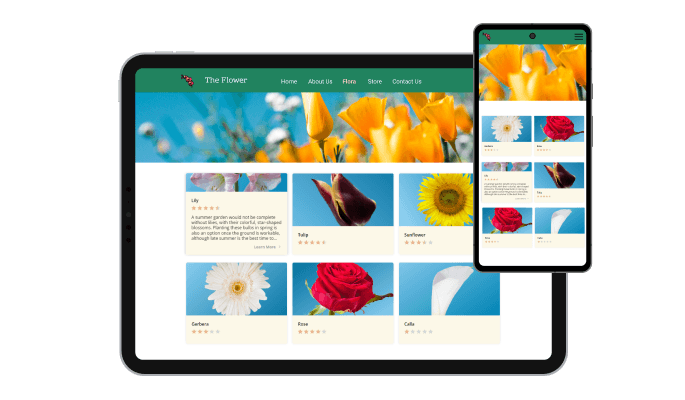 Flip Cards - Fully Responsive for your WordPress website