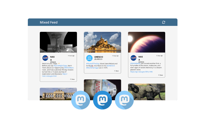 Mastodon Feed - Two types of Mastodon feed are available