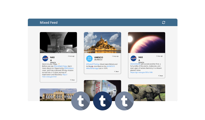Tumblr Feed - Multiple Feed Types