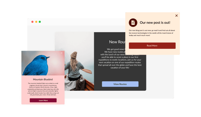 Notification Popup - Selection of Layouts for Magento Notification popup 