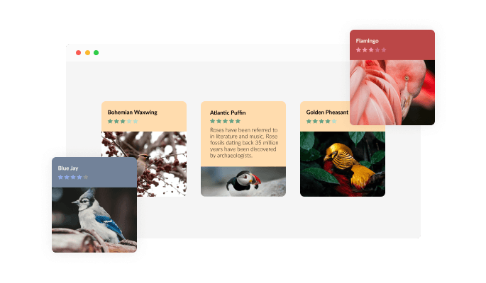 Flip Cards - An extensive selection of skins for your WordPress website