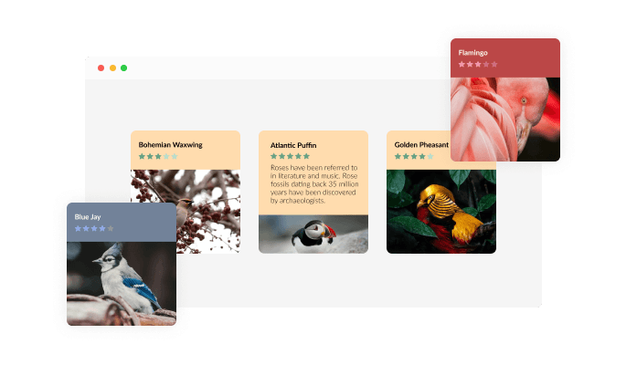 Flip Cards - An extensive selection of skins for your Genially presentation