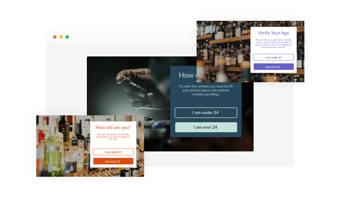 Age Verification - Stunning skins to choose from for your Elementor website