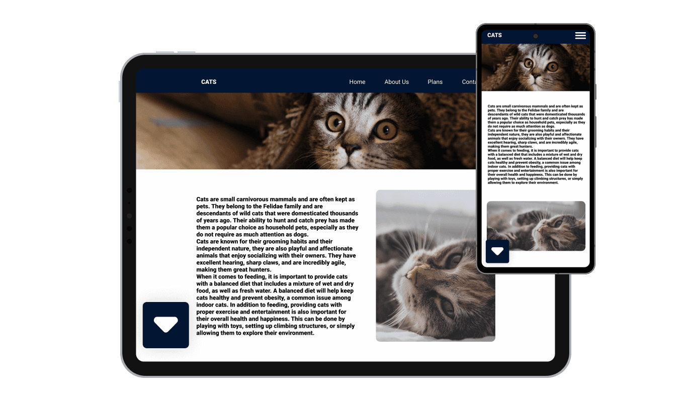 Scroll to Element Button - Perfectly Responsive