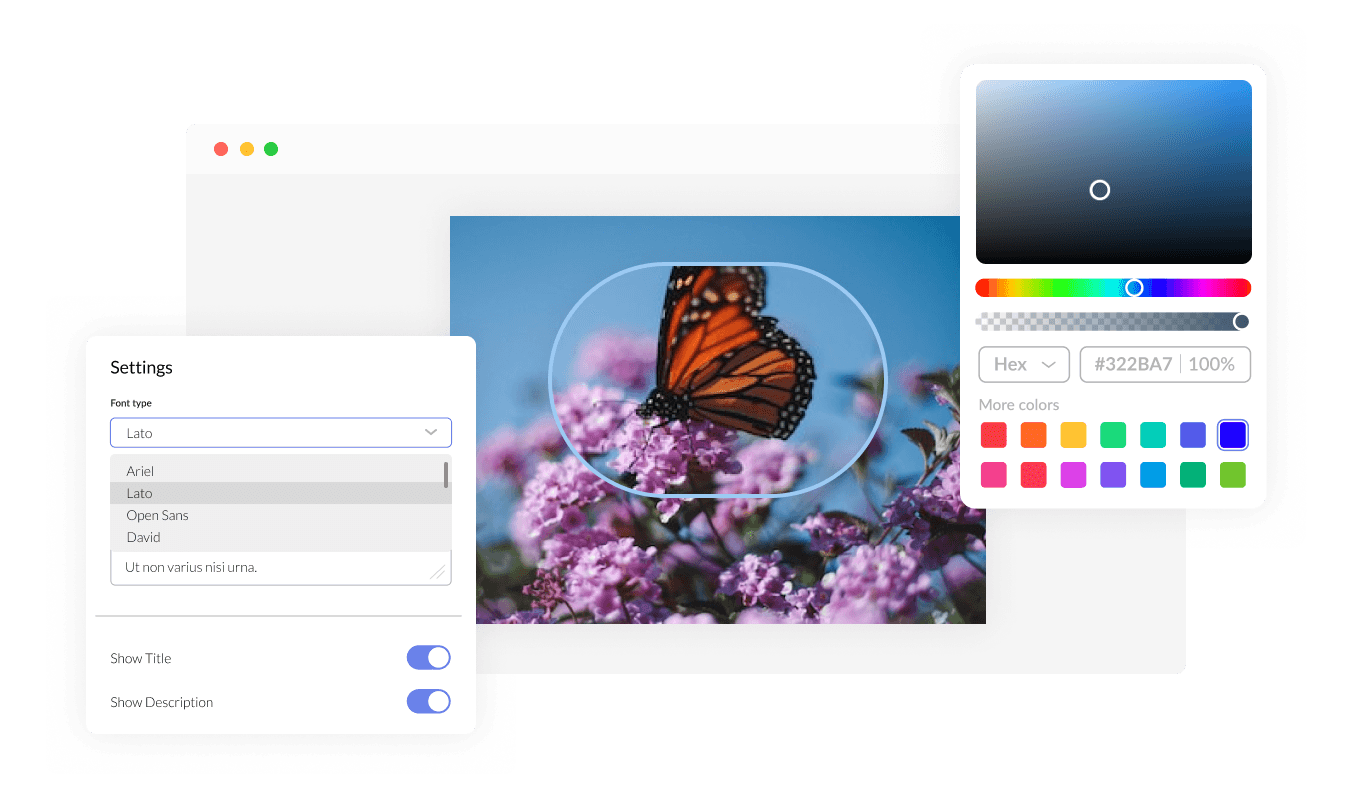 Image Magnifier - Fully Personalize Your Image magnifier on MailerLite with Complete Customization Options