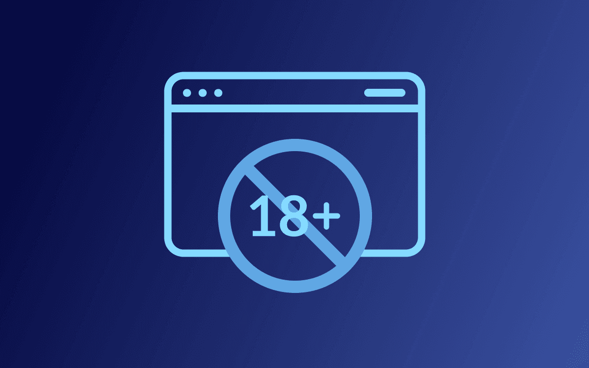 Top 11 Age Verification Widgets (Plugins) for Websites in 2023
