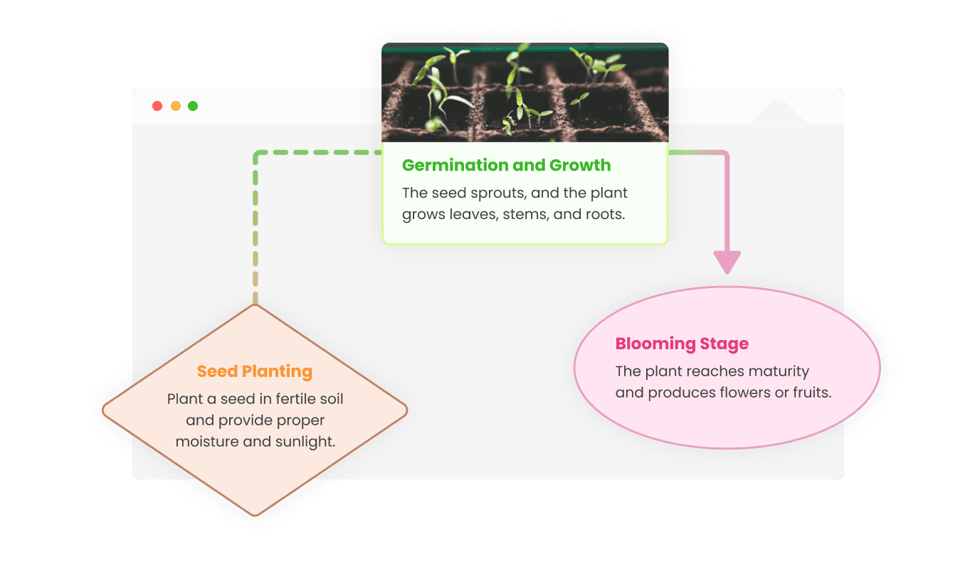 Diagrams - Shape Variety at Your Fingertips