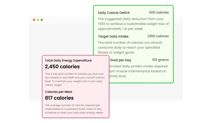 TDEE Calculator - Clear Result Presentation for the TDEE Calculator
