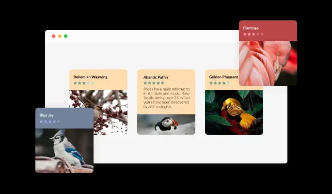 Flip Cards - Beautiful Flip Cards Skins