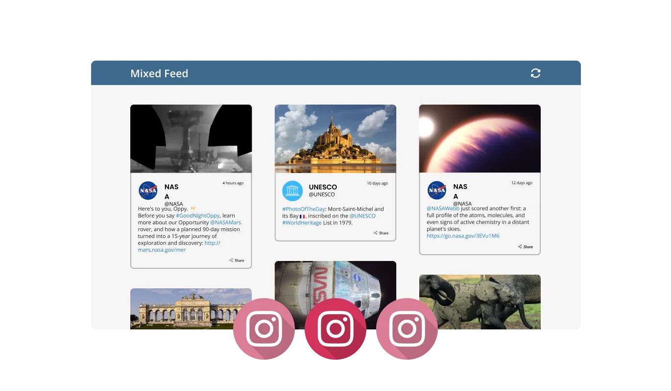 Instagram Feed - Different Feed Types
