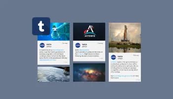 Tumblr Feed  logo