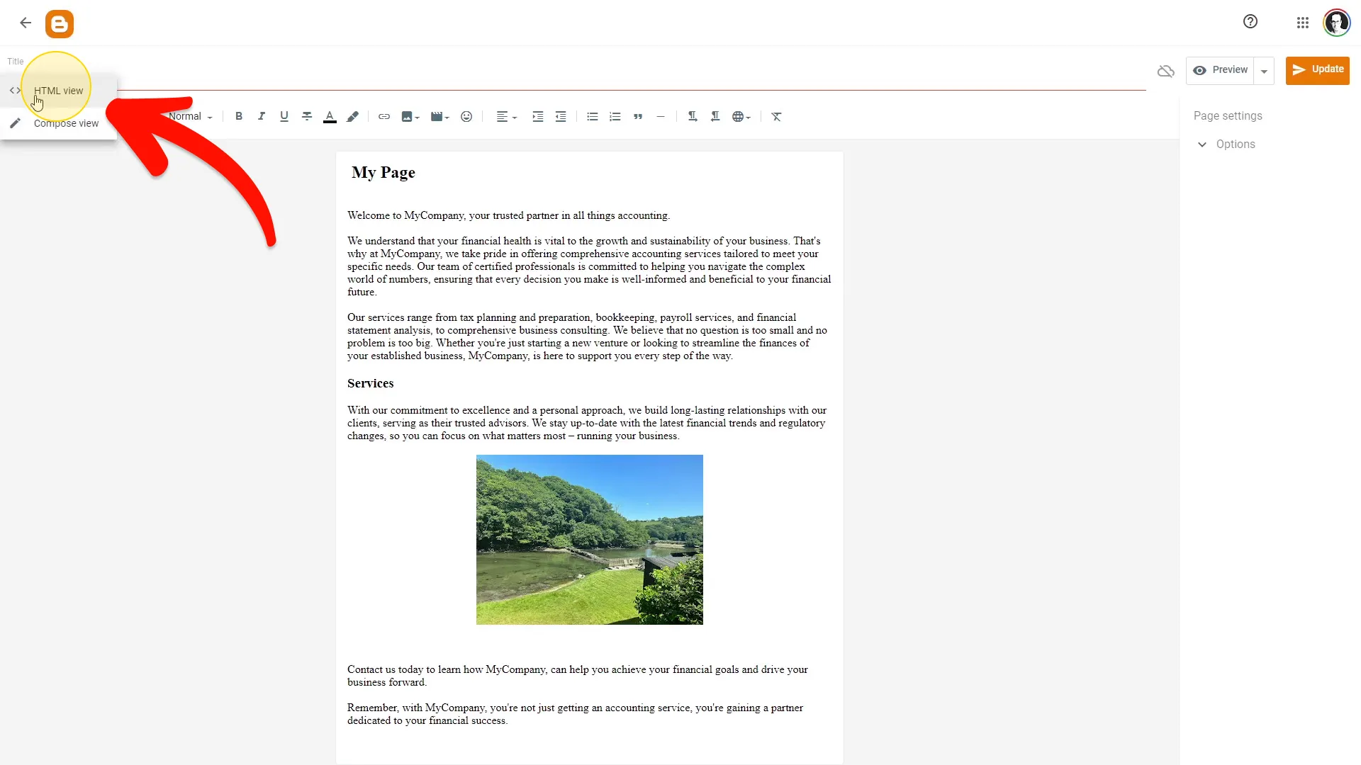 Enter the HTML view
