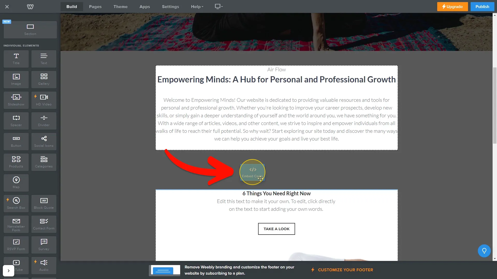 Place the Embed Code element on your page