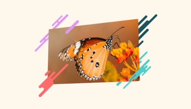 Tilted Image  logo
