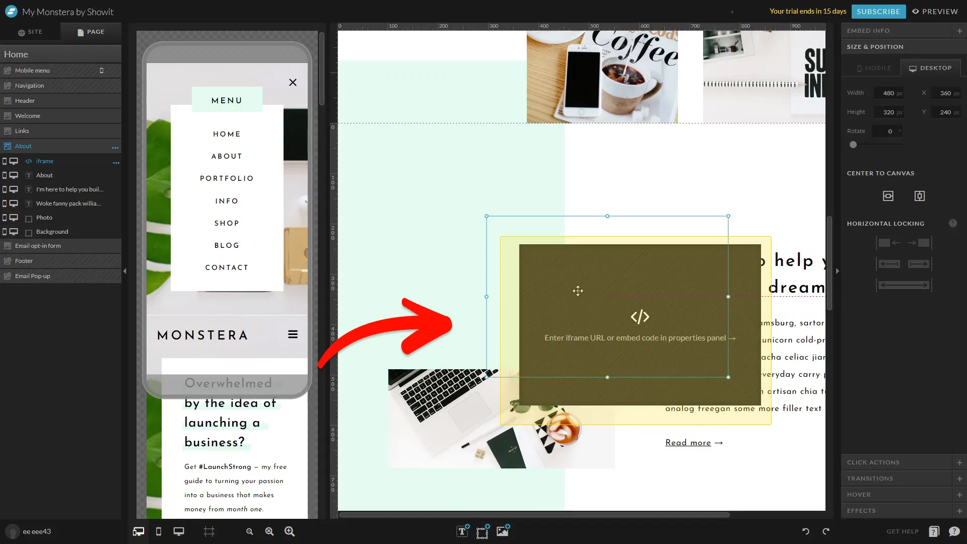 Place the Embed Code on your page