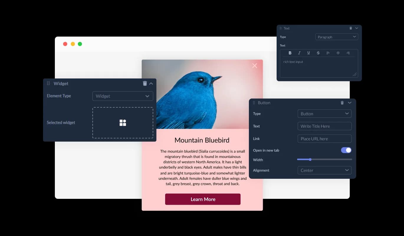 Corner Pop-up Builder - Element Flexibility and Customization