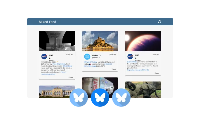 Bluesky Feed - Choose from Multiple Bluesky Feed Types