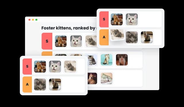 Tier List - Interactive Drag-and-Drop Tier Rankin