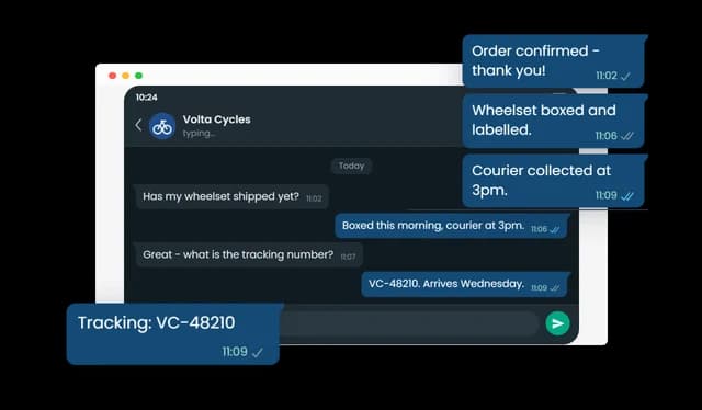 WhatsApp Conversation - Message Details and Delivery Status