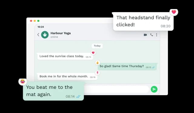 WhatsApp Conversation - Message Reactions