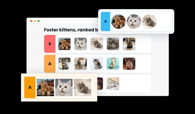 Tier List - Customizable Tier List Item Design