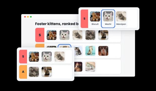 Tier List - Accessible Tier Ranking Experience