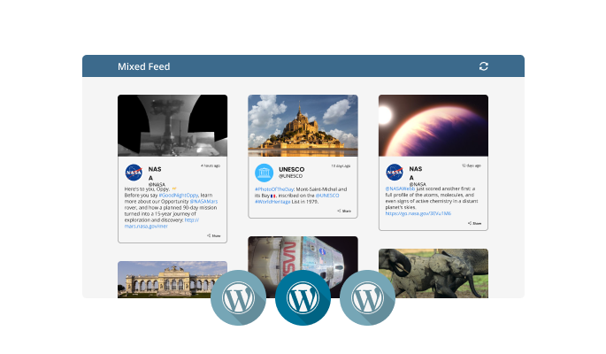 WordPress Feed - Select from two types of WordPress feed
