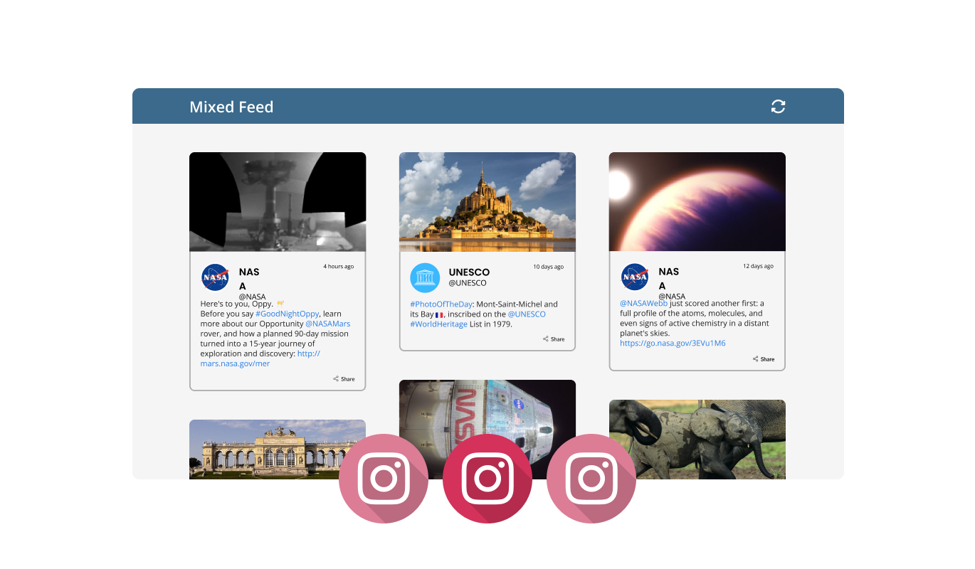 Instagram Feed - Two types of Instagram feeds are available