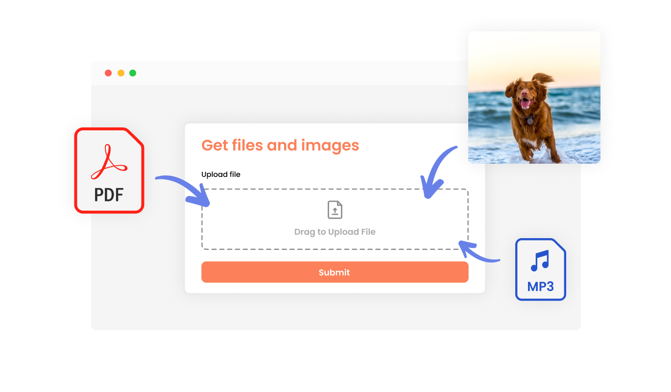 Form Builder - Use the Form To Receive Files and Images