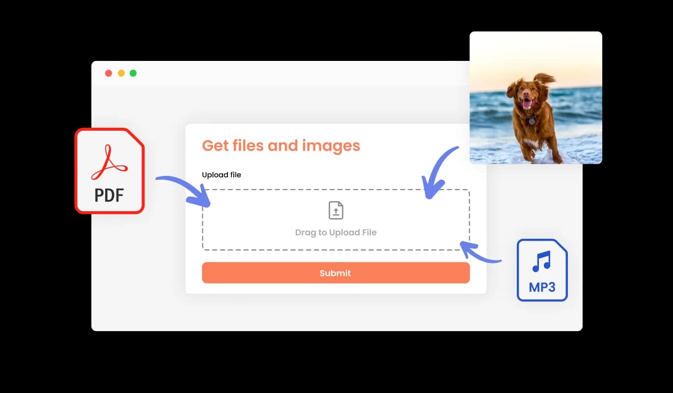 Contact Form - Use the Form To Receive Files and Images